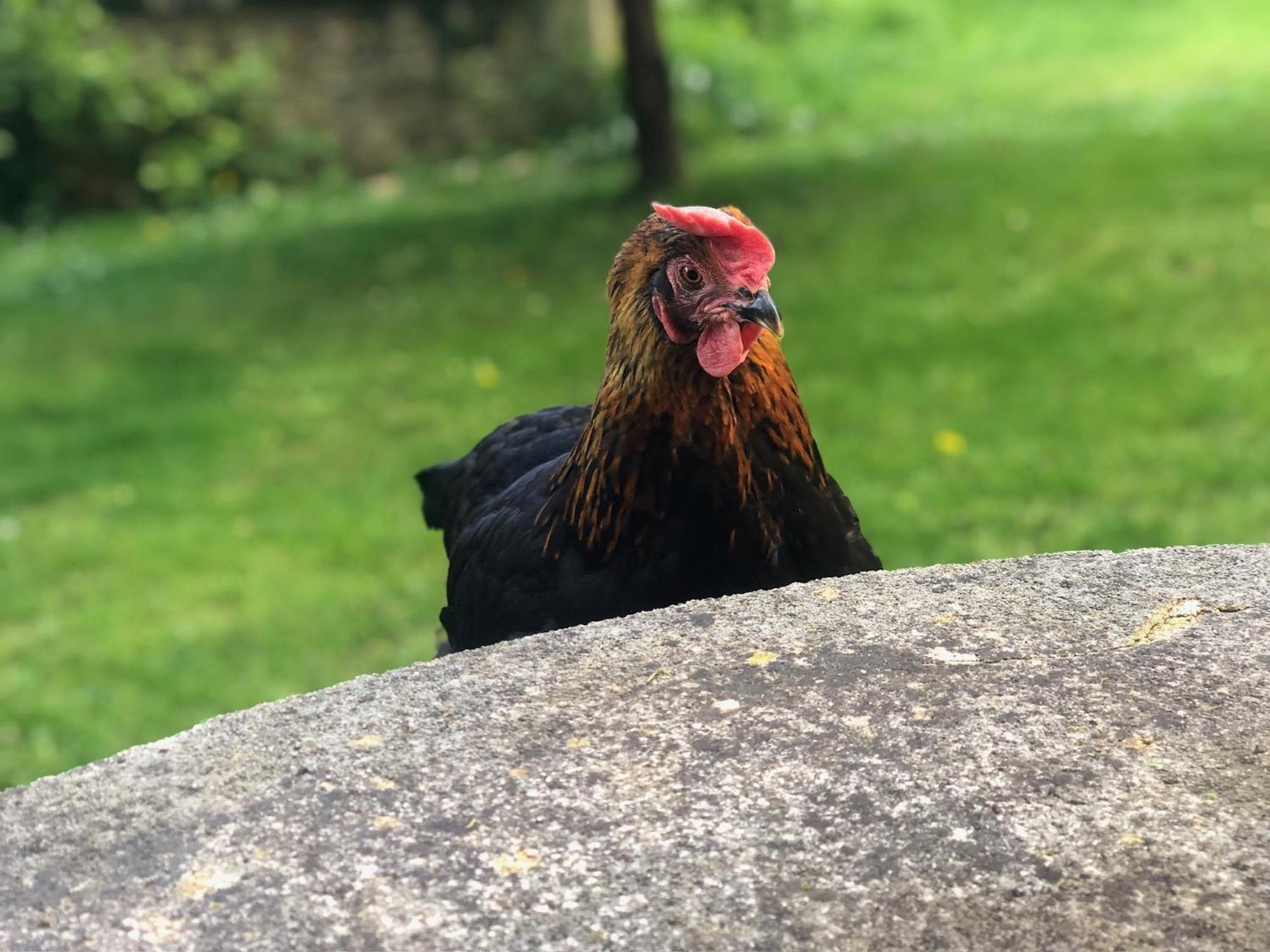 Le Clos Des Songes Blaru Bagian luar foto